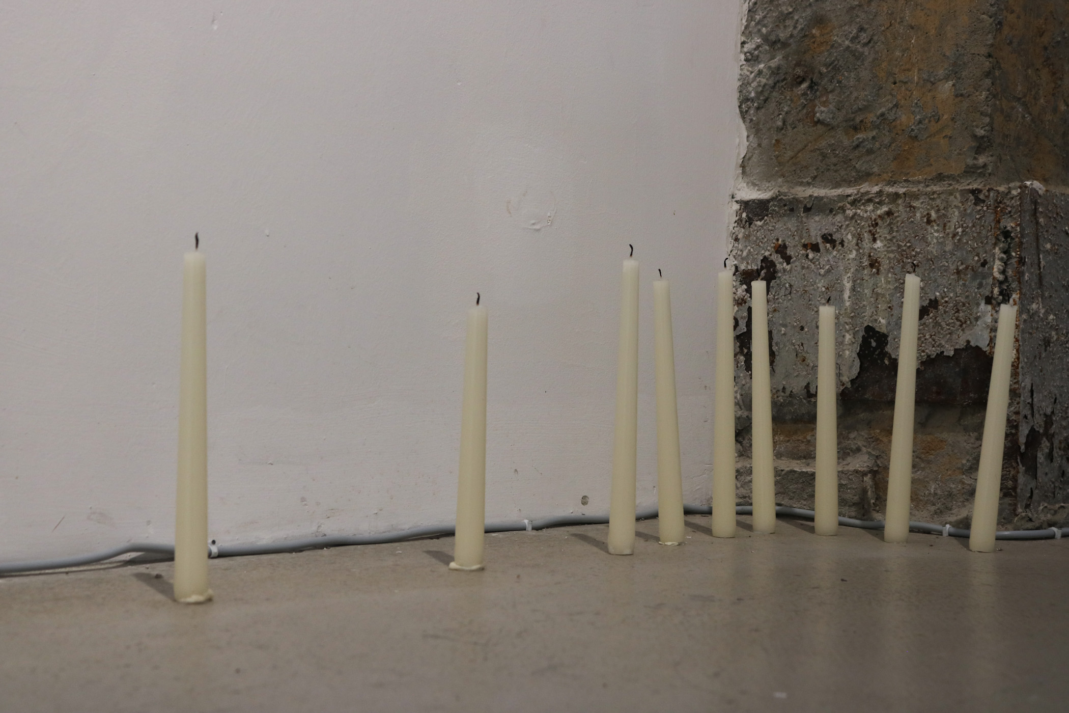 PETITREEGallery_FEASTLUSTWASTE_1