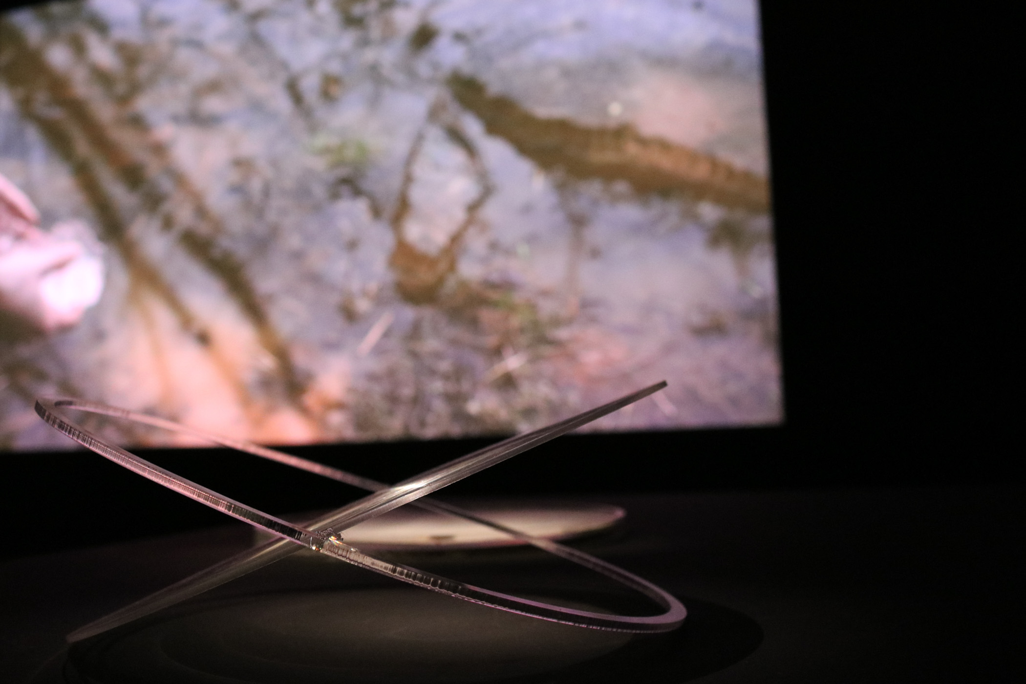 PETITREEGallery_FEASTLUSTWASTE_70