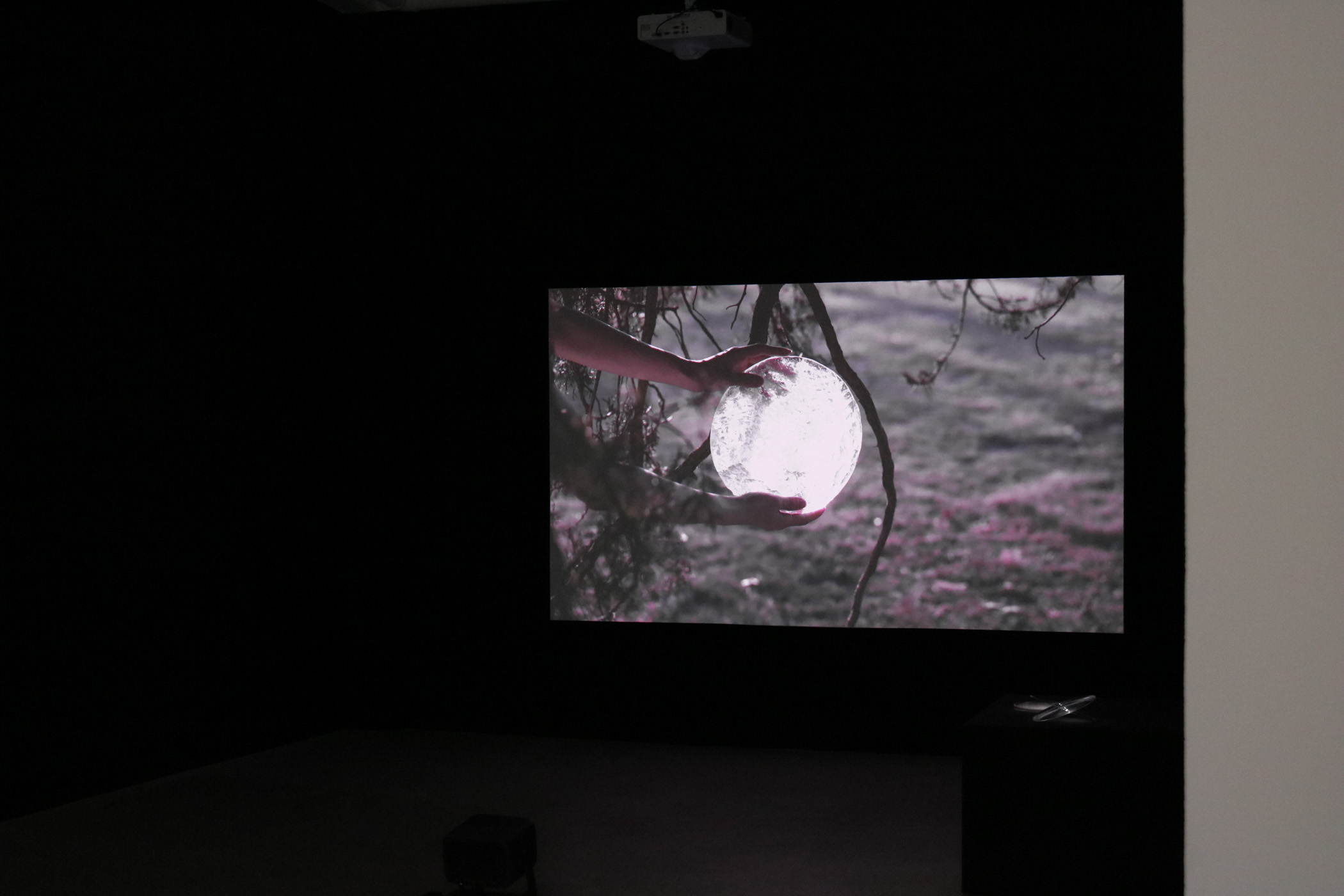 PETITREEGallery_FEASTLUSTWASTE_71