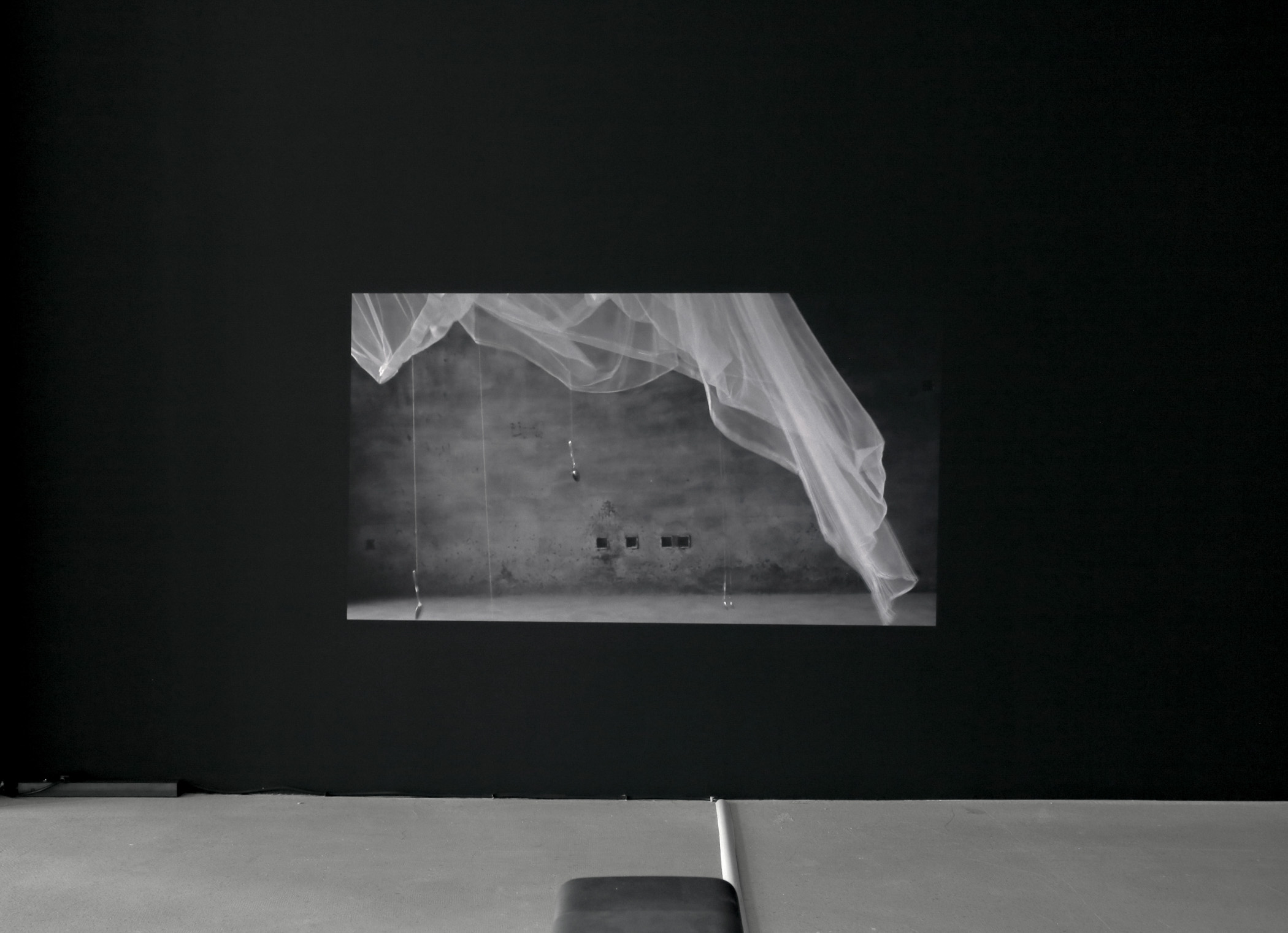 PETITREEGallery_FEASTLUSTWASTE_85