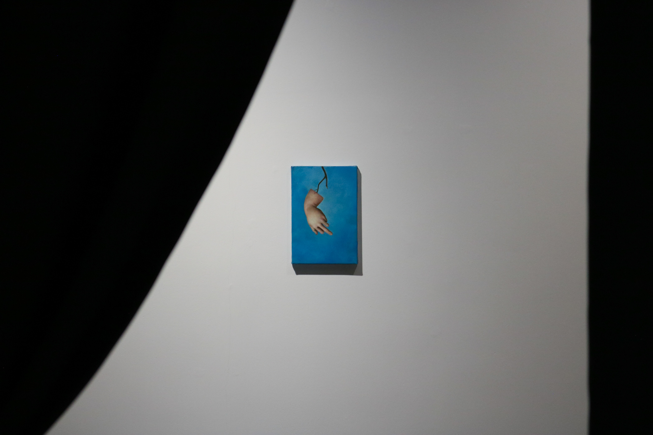 PETITREEGallery_BlackSapoteandFreshOnion-15