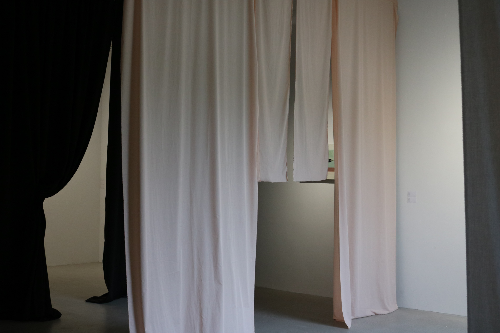 PETITREEGallery_BlackSapoteandFreshOnion-21