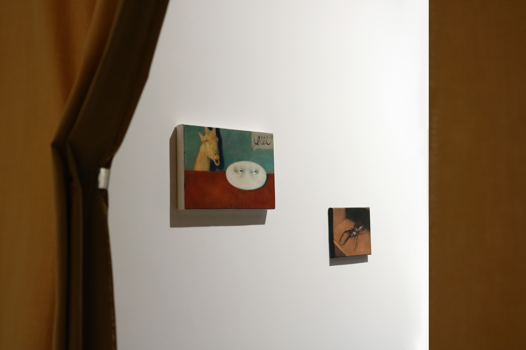 PETITREEGallery_BlackSapoteandFreshOnion-29